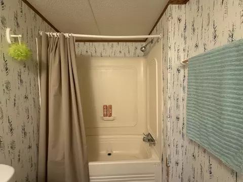Bath - 7274 S Forward, Mcbain, MI 49657 photo 5 of 6