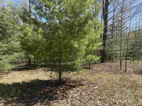 Exterior - 7274 S Forward, Mcbain, MI 49657 photo 16 of 22