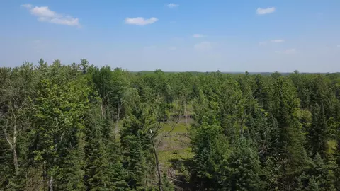 X Oleskie, West Branch, MI 48661