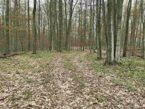 20 Acres Zimmerman, Rapid City, MI 49676