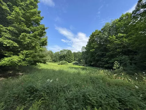 00 W Beeman #WELLS CREEK RANCH, Empire, MI 49630