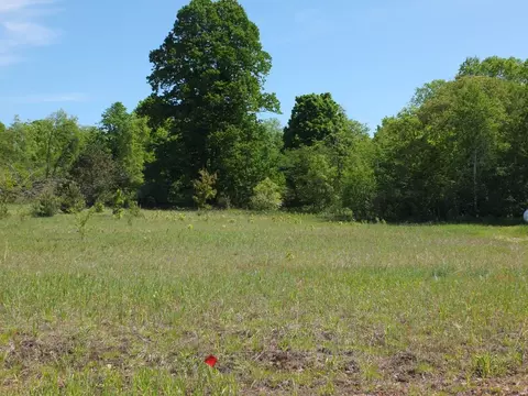 lot10 Kingsfield #LOT : 10, Kingsley, MI 49649