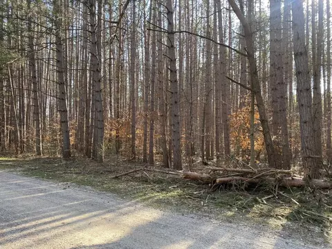 Deer Run, Cadillac, MI 49601 photo 4