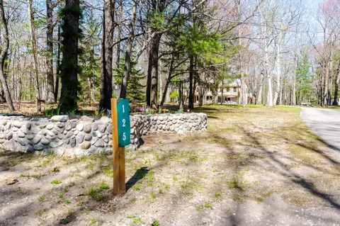 125 Dubonnet, Interlochen, MI 49643 photo 62