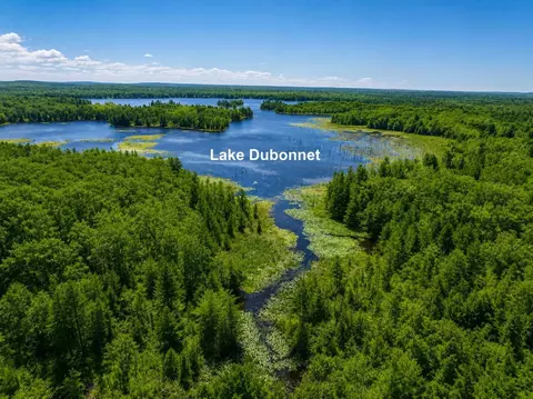 125 Dubonnet, Interlochen, MI 49643 photo 7
