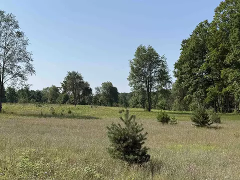 Parcel A 6 S Bright, Maple City, MI 49664