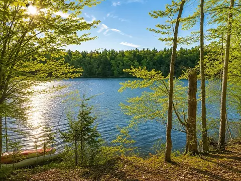 Vl Acorn Ridge, Beulah, MI 49617