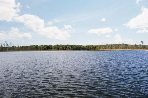View/Area - 10176 Harmony #LOT : 20, Interlochen, MI 49643 photo 4 of 6