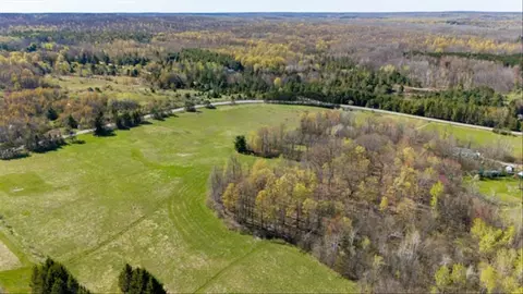 V/l W Curtisville, South Branch, MI 48761