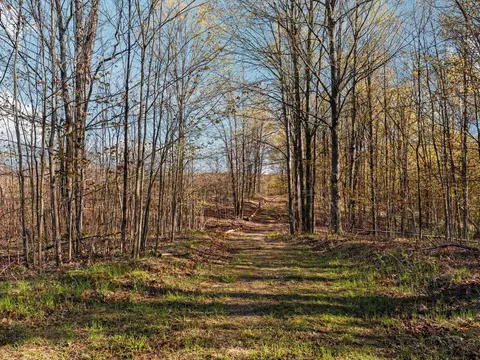 00 E 20 Apt #(NEAREST ADDRESS ACROSS THE , Mesick, MI 49663 photo 3