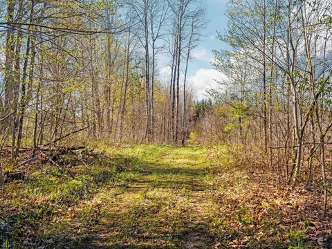 00 E 20 Apt #(NEAREST ADDRESS ACROSS THE , Mesick, MI 49663 photo 17