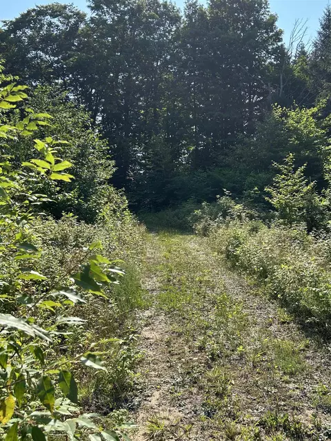 00 E 20 Apt #(NEAREST ADDRESS ACROSS THE , Mesick, MI 49663 photo 25
