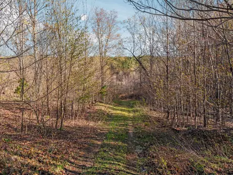 00 E 20 Apt #(NEAREST ADDRESS ACROSS THE , Mesick, MI 49663 photo 13