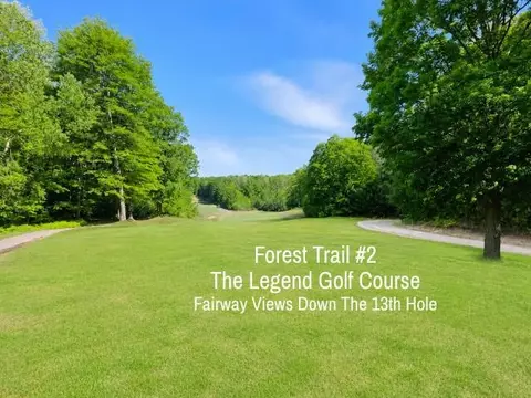 2 Forest, Bellaire, MI 49615