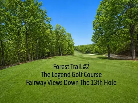 2 Forest, Bellaire, MI 49615