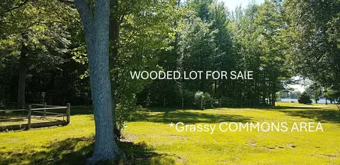 NN N Salisbury #: 36, Gladwin, MI 48624 photo 6