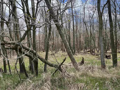 Nka Pine River, Standish, MI 48658 photo 3