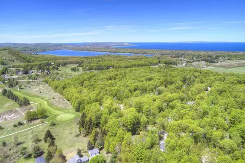 View/Area - 4451 S Hemlock #LOT : 47, Cedar, MI 49621 photo 4 of 4