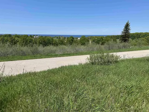 3 Foxview, Charlevoix, MI 49720 photo 3