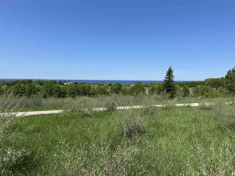 3 Foxview, Charlevoix, MI 49720 photo 11