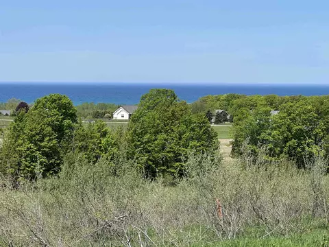 3 Foxview, Charlevoix, MI 49720 photo 2