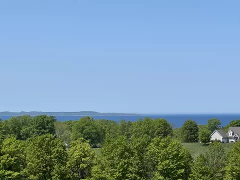 3 Foxview, Charlevoix, MI 49720 photo 7