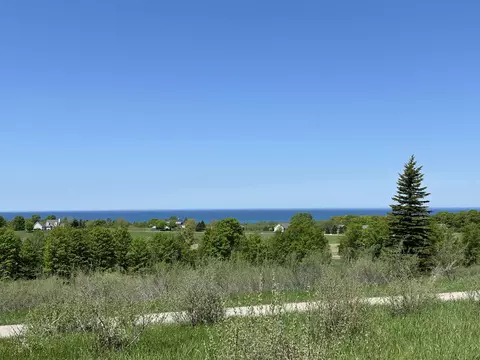 3 Foxview, Charlevoix, MI 49720 photo 10