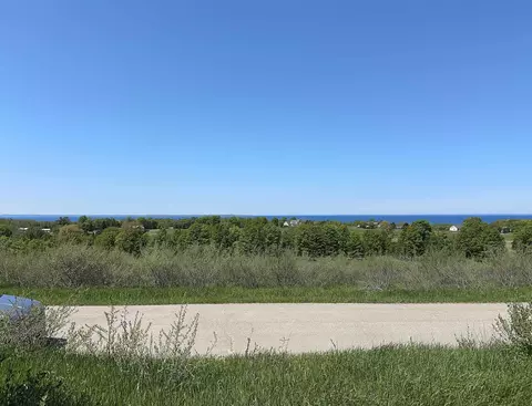 3 Foxview, Charlevoix, MI 49720 photo 5