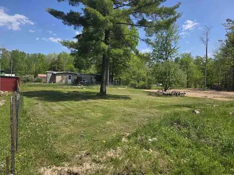 Pine, Hale, MI 48739 photo 3