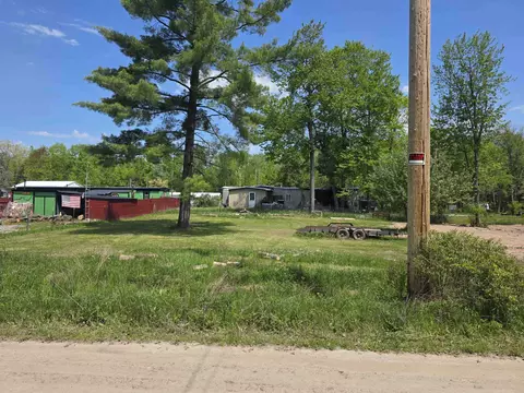 Pine, Hale, MI 48739 photo 5
