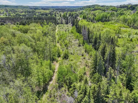 View/Area - 9330 E 10 12, Manton, MI 49663 photo 3 of 3