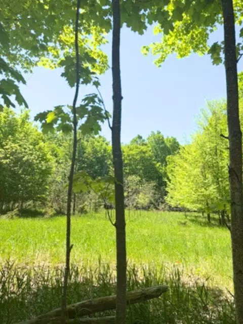 Vl Loomis, East Jordan, MI 49727