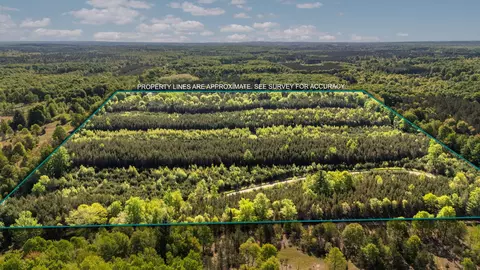 Acreage-40 Cedar Creek #AND LAKE ROAD., Fife Lake, MI 49633