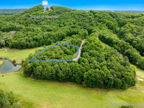8 S S Clb #LOT 8, Cedar, MI 49621
