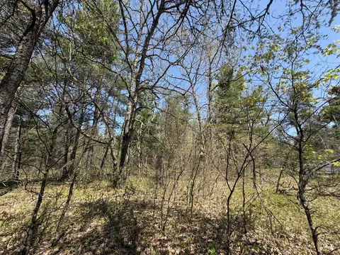 V/l Us-10, Baldwin, MI 49642 photo 3