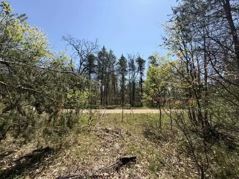V/l Us-10, Baldwin, MI 49642 photo 6