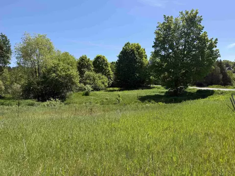 1 M-88, Bellaire, MI 49615