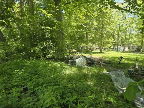 Linden, Evart, MI 49631 photo 7