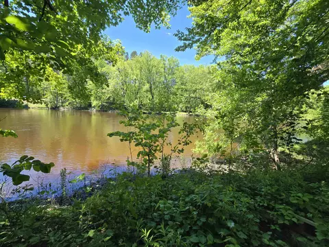 Linden, Evart, MI 49631 photo 2