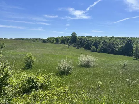 00 Maple Vly, Suttons Bay, MI 49682