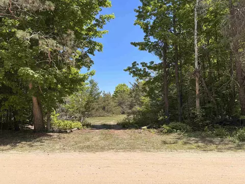 99 Pine Tree, Beulah, MI 49617