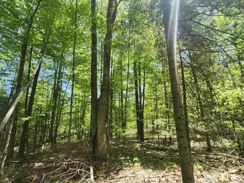 0 Rose, Lupton, MI 48635 photo 10