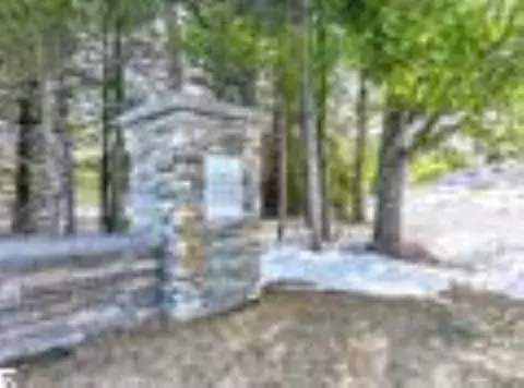 14 S S Clb #LOT 14, Cedar, MI 49621