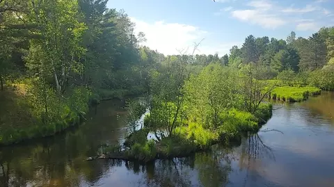Parcel 3 Sumac, Grayling, MI 49738 photo 3