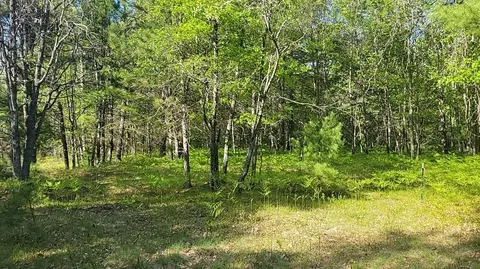 Parcel 3 Sumac, Grayling, MI 49738 photo 4