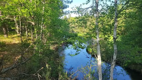 Parcel 3 Sumac, Grayling, MI 49738 photo 6