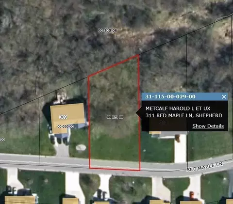 311 Red Maple #LOT : 29, Shepherd, MI 48883 photo 5