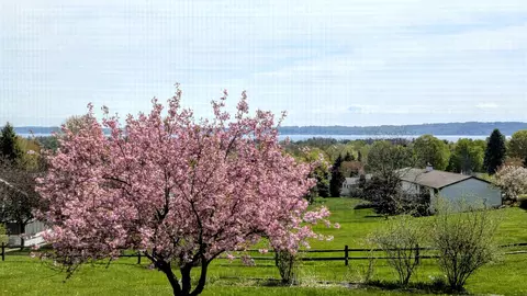 9754 E Harbor Hls #LOT : 48, Traverse City, MI 49684