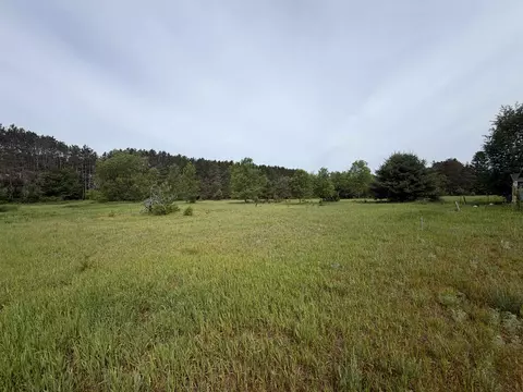00 Pearl, Thompsonville, MI 49683