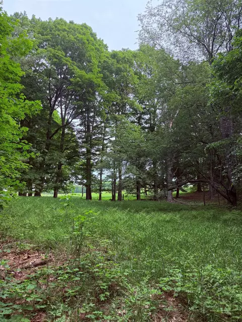 11 Kadi Lane, Lake Ann, MI 49650